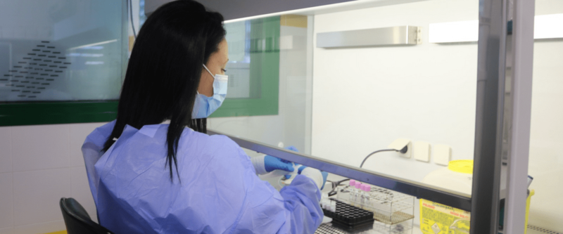 Imagen de archivo de unas pruebas de diagnóstico de viruela del mono / TA